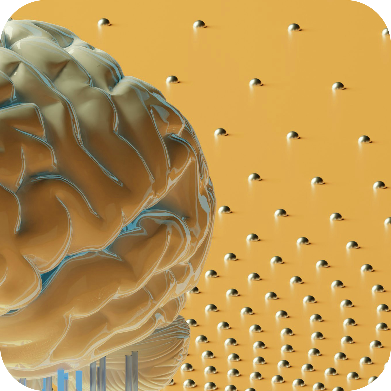 Crown Bot Mobile App + Website + CRM + Chatbot
