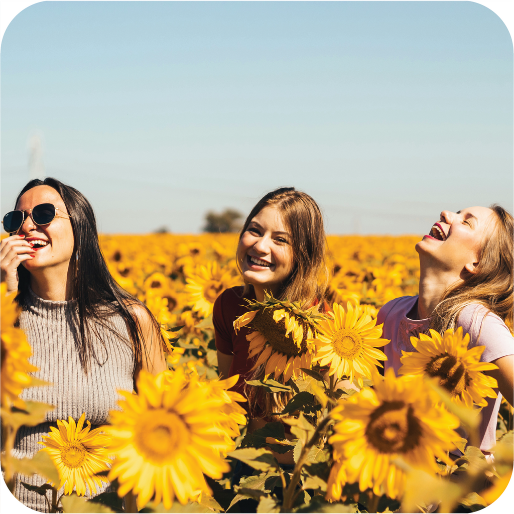 Focus Groups in the UAE