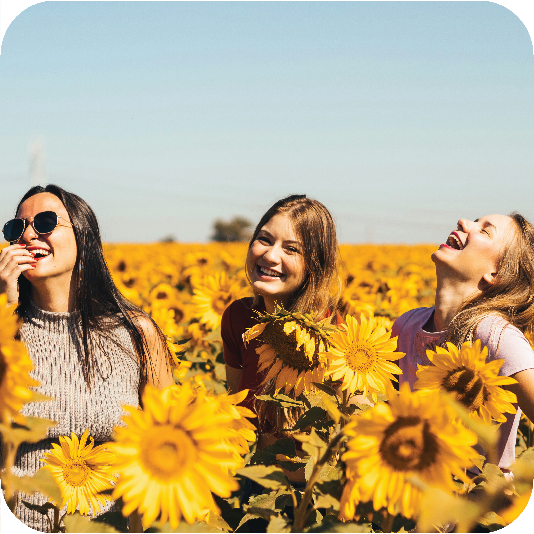Focus Groups in the UAE