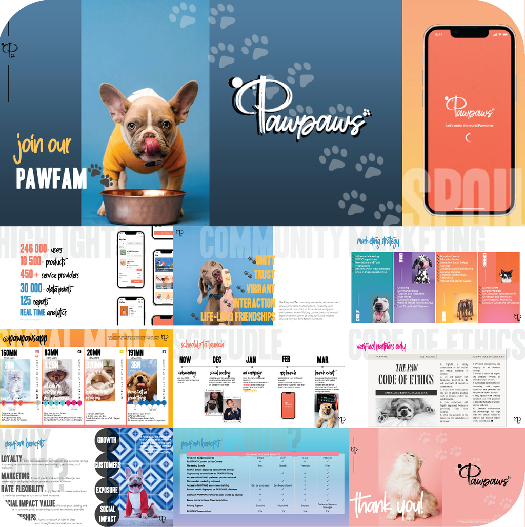 Media Kit Development