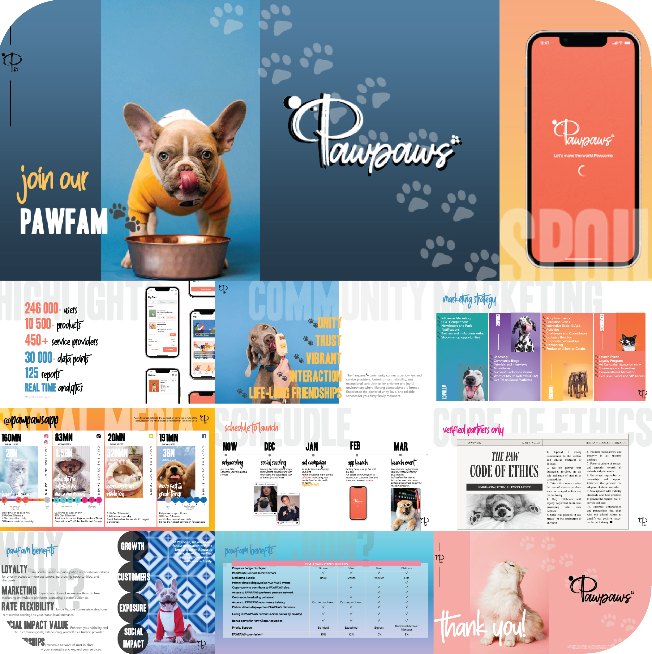 Media Kit Development