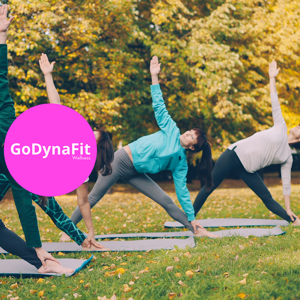 Family Fun Fitness 4 People GoDynaFit